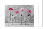Peonies in glass bottles by Assaf Frank